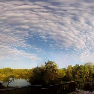 Meet your Posher, Kyla